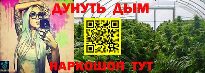 стафф Кандалакша