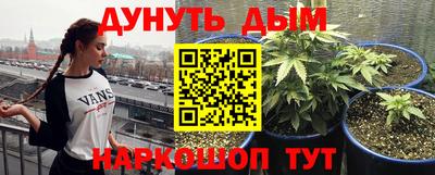 прущие крисы Канаш