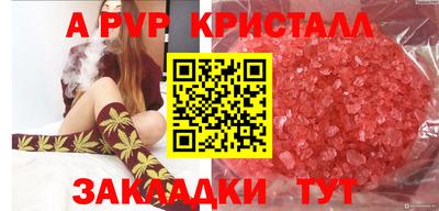 a pvp Кингисепп